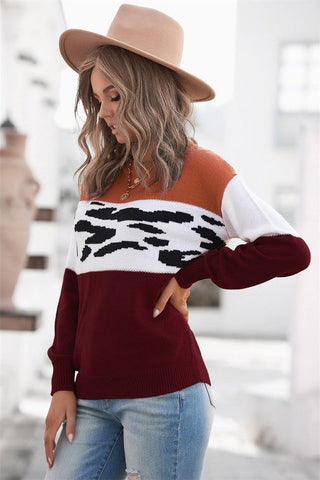 Leopard Print Sweater - Brown