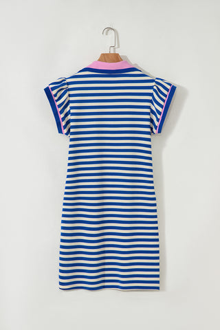 Striped Blue Dress