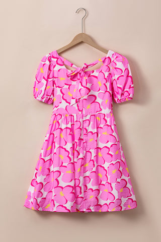 Retro Floral Empire Waist Dress - Pink