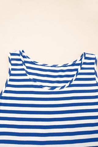 Striped Swing Dress - Blue