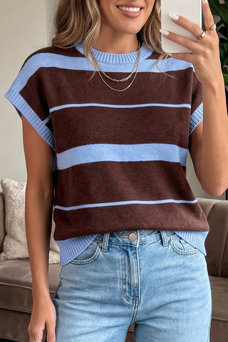 Brown and Blue Sleeveless Sweater