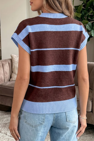 Brown and Blue Sleeveless Sweater