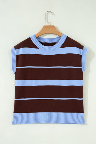 Brown and Blue Sleeveless Sweater