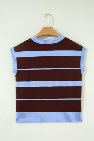 Brown and Blue Sleeveless Sweater
