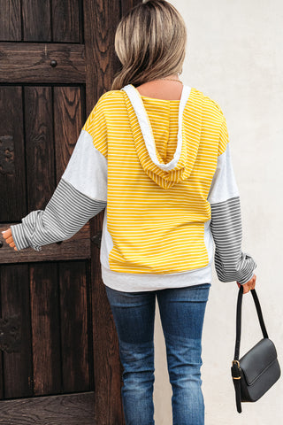 Sunny Striped Hoodie