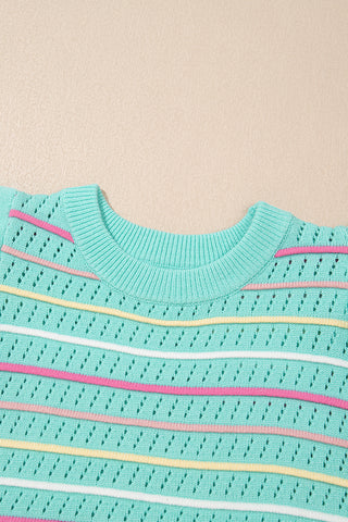Spring Pallet Ruffle Sleeve Sweater Top - Mint