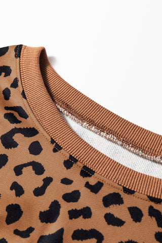 Leopard Striped Sleeve Sweatshirt