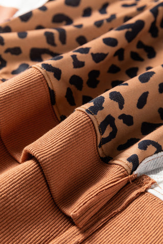 Leopard Striped Sleeve Sweatshirt