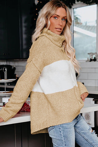 Turtle Neck Sweater - Beige